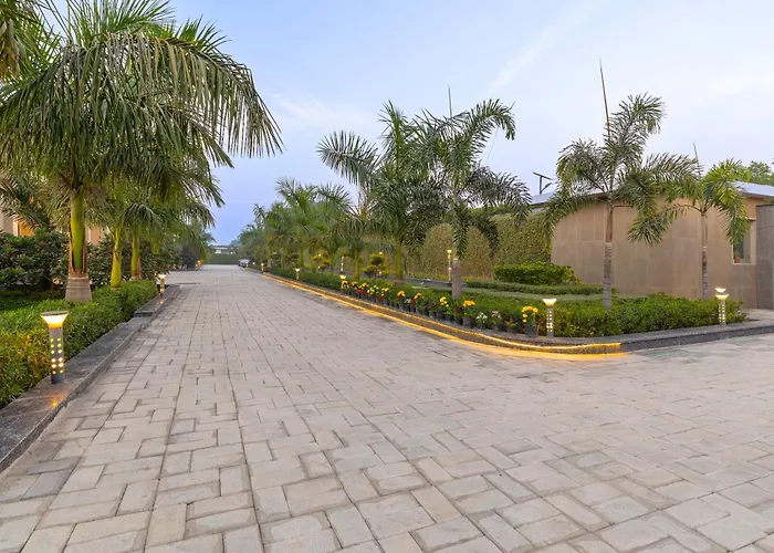 Elivaas Signature Levante Farms